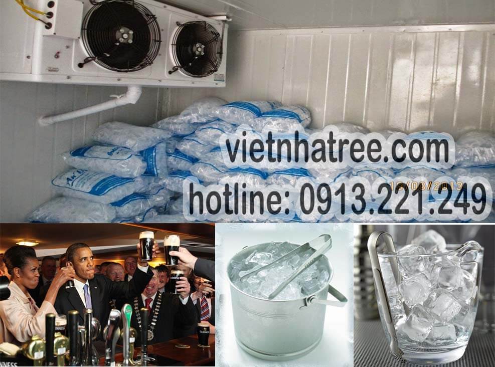 Kho lạnh bảo quản đá viên tinh khiết